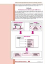 carelit_200763_3.jpg