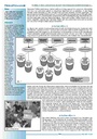carelit_200512_2.jpg