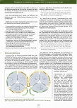 carelit_234007_4.jpg