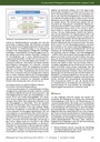 carelit_202068_4.jpg