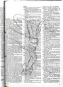 carelit_21720_6.jpg