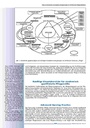 carelit_201176_5.jpg
