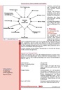 carelit_201034_2.jpg