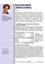 Unterrichtseinheit „Diabetes mellitus“